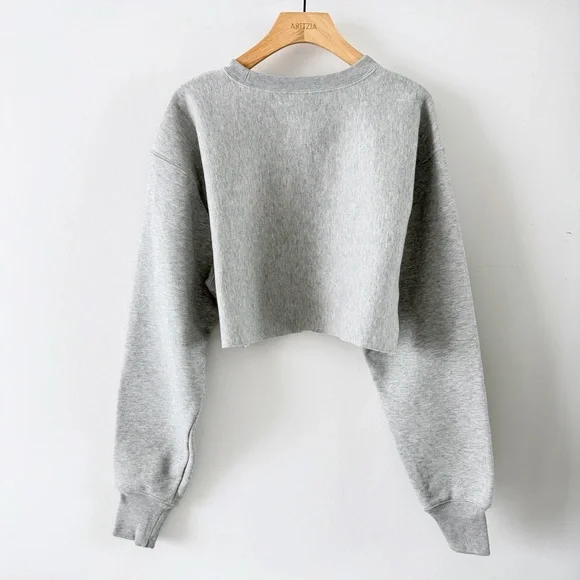 Champion Reverse Weave Cropped Sweatshirt Gray Logo Pullover Small - Picture 10 of 14